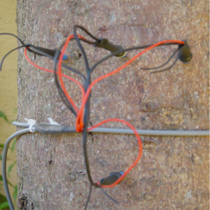 SENSOR DE FLUXO DE SEIVA - ECK-SF10 - TECNAL