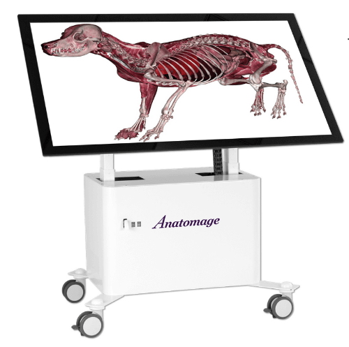 Mesa de Anatomia 3D (VET), Table VET - Fabricante Anatomage.(SL-502-3D-VET) - SOLAB